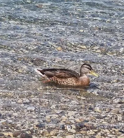 Grahl's * Markranstädt