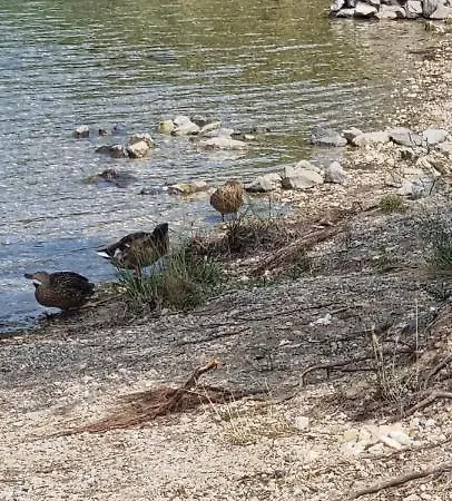 Grahl's Markranstädt