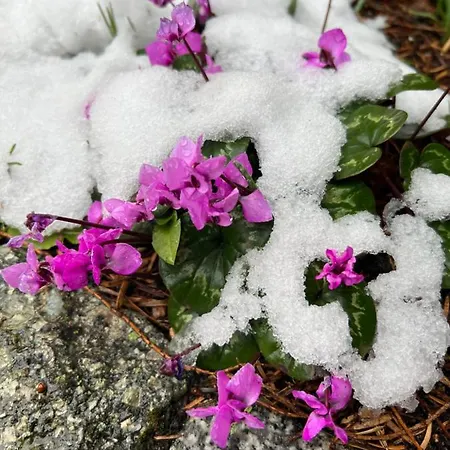 Grahl's Markranstädt