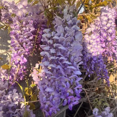 דירה Grahl's Markranstädt