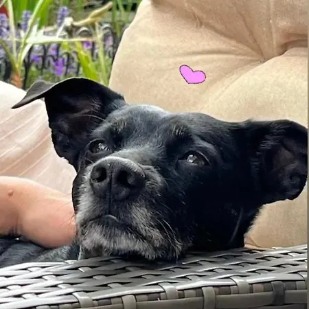 Grahl's Markranstädt