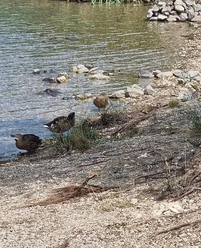 Grahl's Markranstaedt