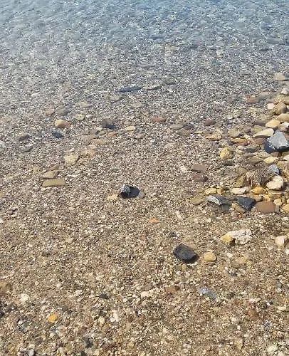 Grahl's * Markranstaedt