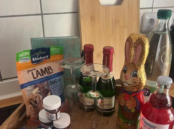 Grahl's Apartment Markranstaedt