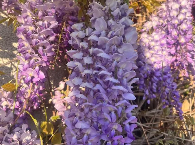 Apartment Grahl's Markranstaedt