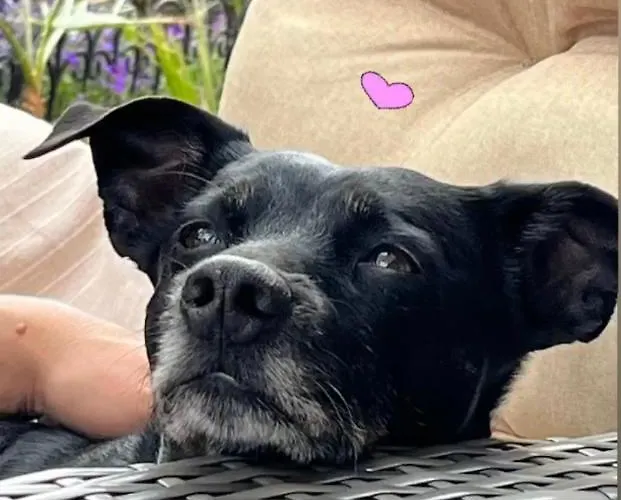 Grahl's Markranstaedt